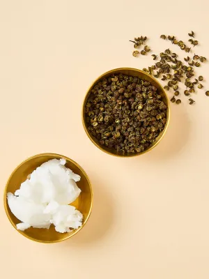 SPICEup SOMI